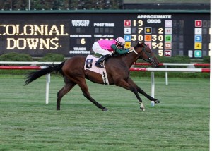 Long On Value wins the Jamestown Stakes at Colonial Downs in 2013. Photo by Coady Photography.