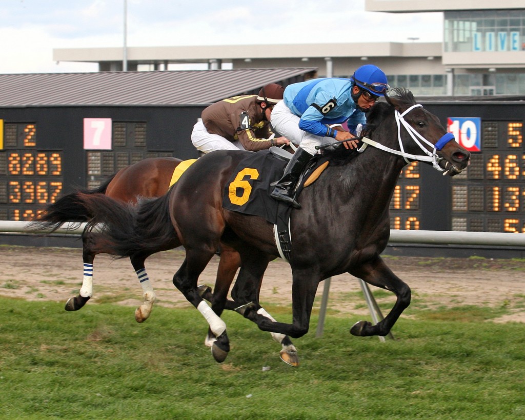 Scorched Cat (Tale of the Cat) wins his debut at Meadowlands for Virginian Magalen O. Bryant. Photo Courtesy Equi-Photo.