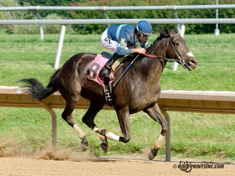 Service At Ten, shown here winning the Vincent A. Moscarelli Memorial Stakes, won the Dave's Friend Stakes at Laurel on Saturday.
