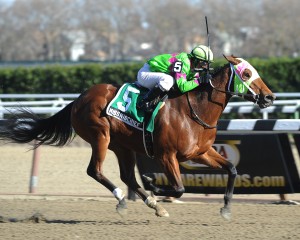 Miss Mischief dominating in the Pearly City Stakes. Photo courtesy Adam Coglianese. 