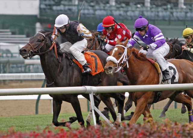 Union Prayer, a Virginia-bred Dixie Union (bred by Ned Evans), broke his maiden at Churchill Downs on November 6. Kellyn Gorder trains for Los Samanes LLC.