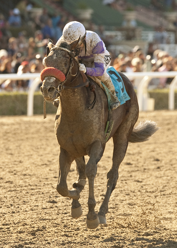 Lazy Lane-bred Bond Holder winning the Grade I FrontRunner Stakes in September. Photo Courtesy Benoit Photo.
