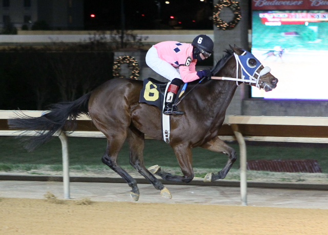 Virginia-bred Honorable, a 2-year-old MSW winner at Charles Town November 23, is owned, bred and trained by Susan Cooney.