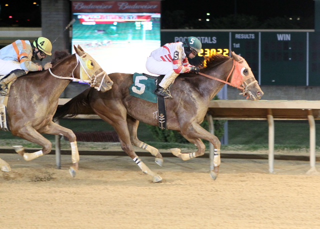 Hunter's Hollow, owned and bred by Sam English, won an allowance at Charles Town on November 16.