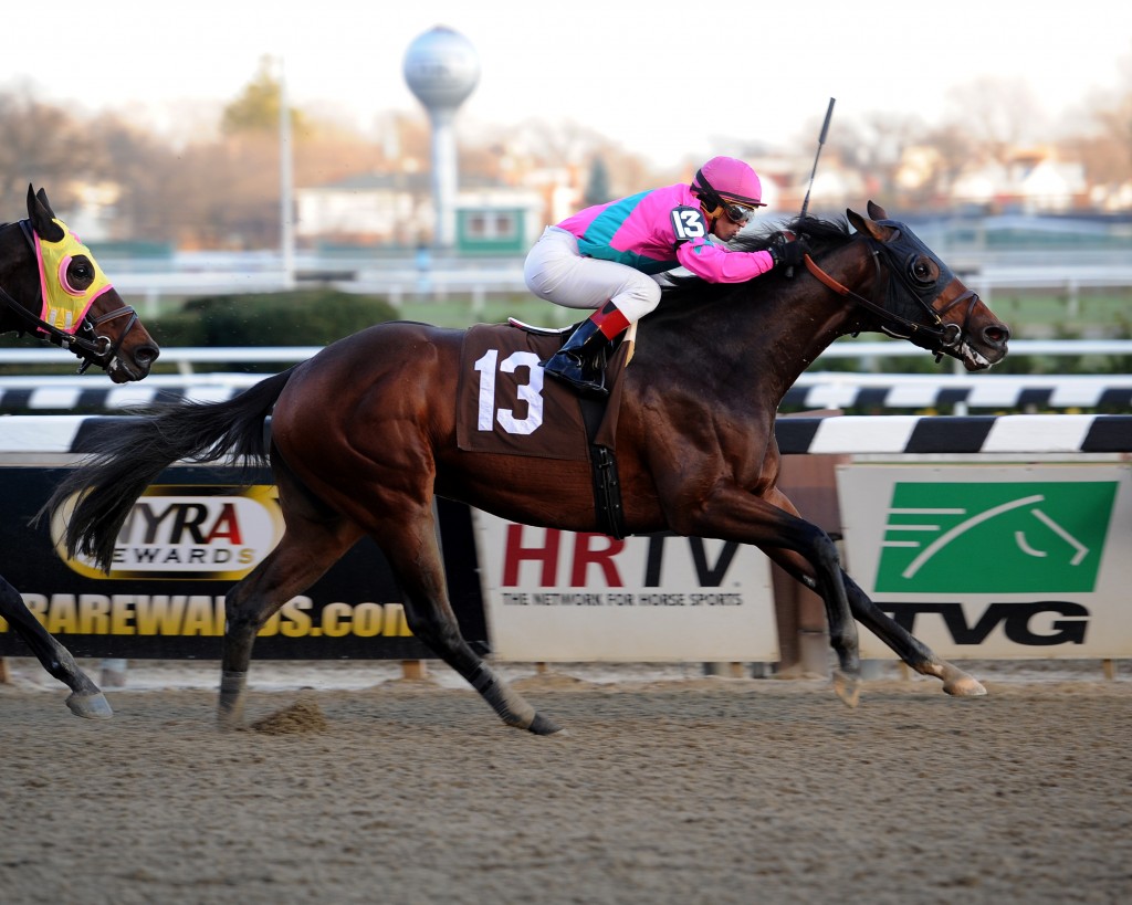 Ned Evans-bred Mail won an allowance race at Aqueduct on November 29.