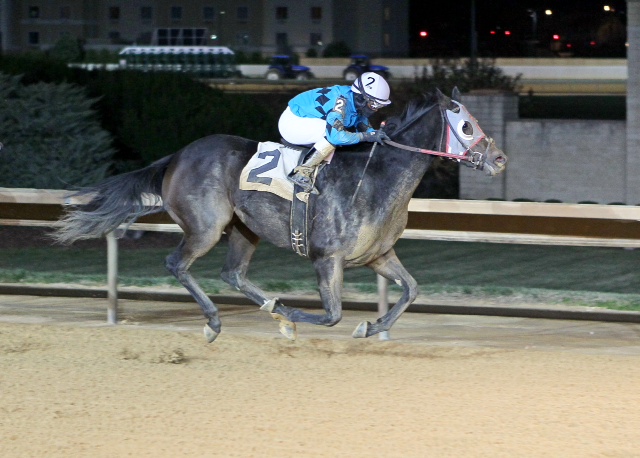 Ms. Fool Proof, trained by Larry Curtis, won an allowance at Charles Town on November 14.