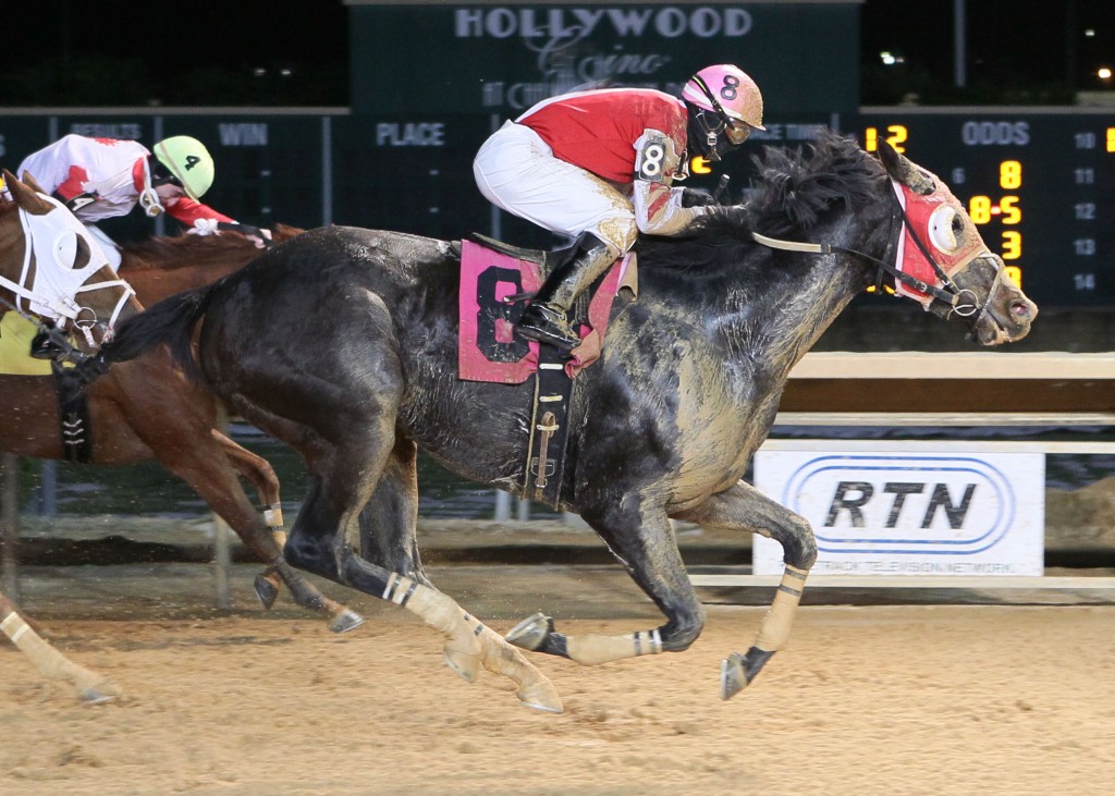 Saint Zita, owned and trained by Patrick Nuesch, won a claiming race at Charles Town on December 20 as one of three Virginia-connected winners on the night.