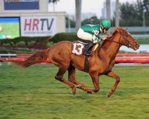 Middleburg dominating a 1 1/16-mile allowance at Gulfstream on December 21. 