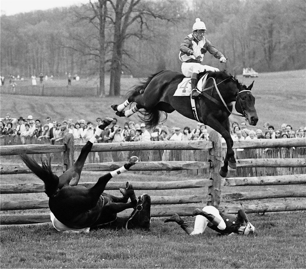 1986 Maryland Maryland Hunt Cup: Dr. Joseph Rogers' Private Gary (Charlie Fenwick, up), 3rd in race, jumps over The Guineau Man. The horse was not hurt. Photo courtesy Douglas Lees.
