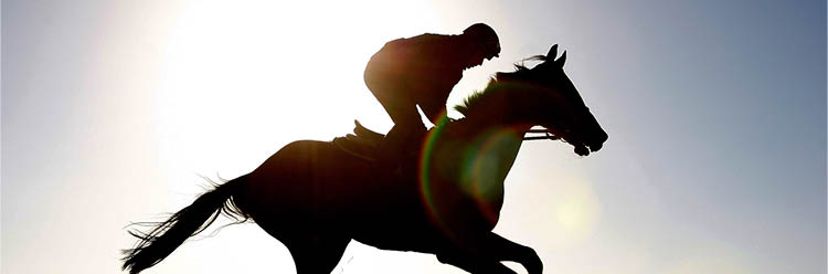 Photo courtesy: http://www.keithprowse.co.uk/racing_chepstow-racecourse.aspx