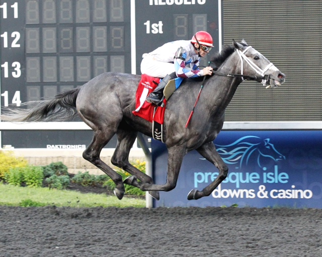Explore, bred by Mr. and Mrs. Bertram Firestone, won an allowance going away at Presque Isle June 23. Photo courtesy Coady Photography.