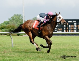 Rose Brier, bred by Bill Backer, wins a Delaware Park allowance by 4 lengths on June 25. Photo courtesy of Hoofprints.