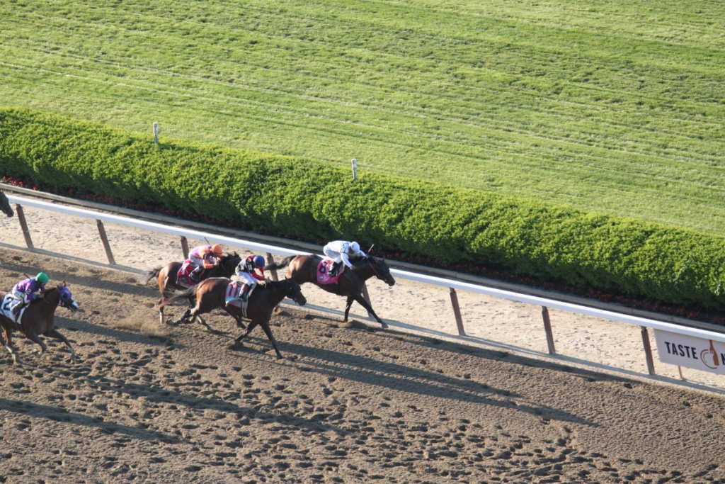 After being stuck almost five wide through the first turn, Tonalist pressed the leaders in the stretch, bearing down on front-runner Commissioner... Photo courtesy Nick Hahn.