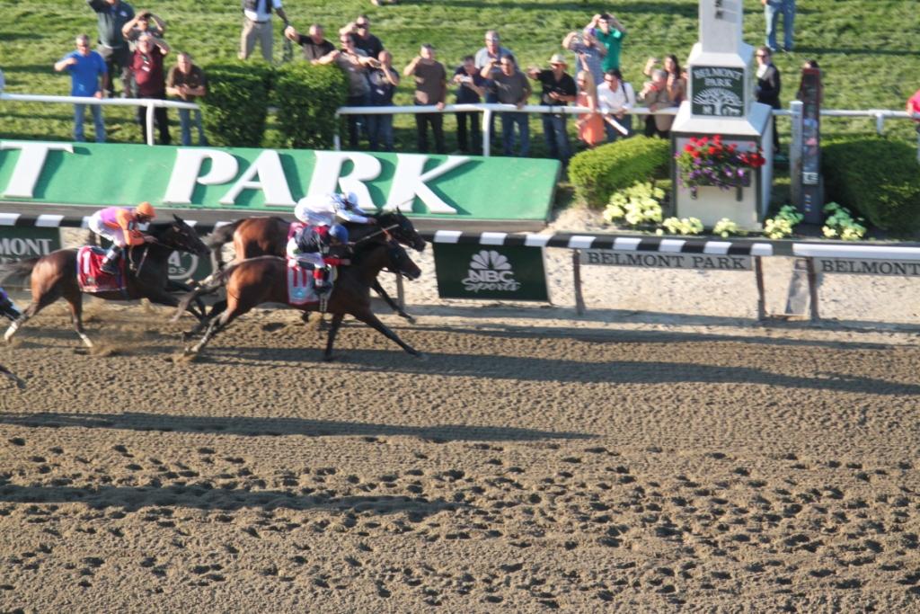 Despite lugging in under the shadow of the wire, Tonalist determinedly ground past Commissioner to secure the victory in the Grade I Belmont by a neck. Photo courtesy Nick Hahn.