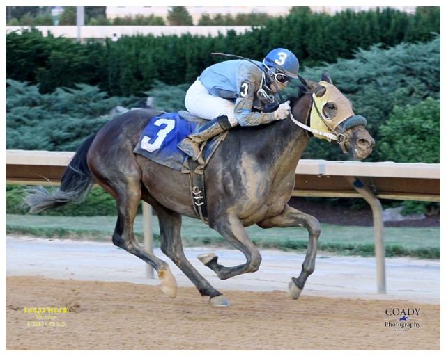 C M's Quietann, owned and bred by Tracy Willis, won a Charles Town maiden on June 28. Photo courtesy Coady Photography.