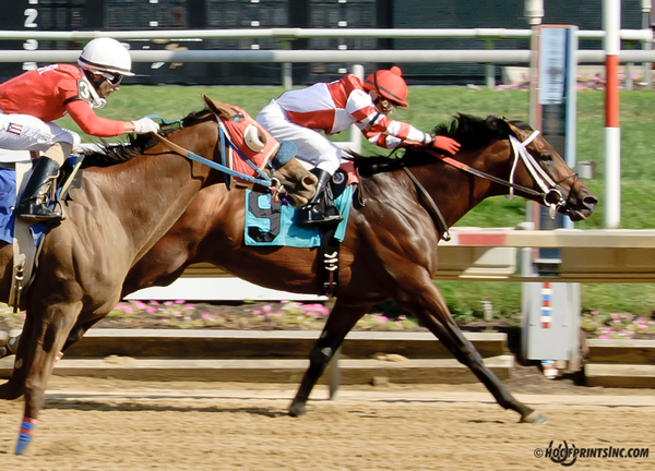 Virginia-bred General Ike won his third back-to-back start in a Delaware Park allowance on July 17. Photo courtesy Hoofprints.