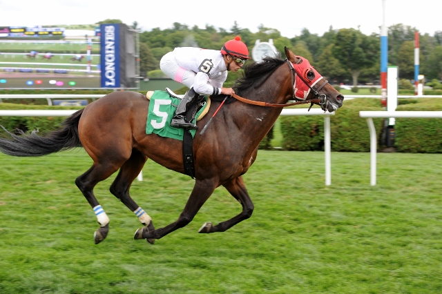 Virginia-bred and -owned Cap'n Raymond won a claiming race at Saratoga on August 15 for Woodberry Payne. Photo courtesy Adam Coglianese.