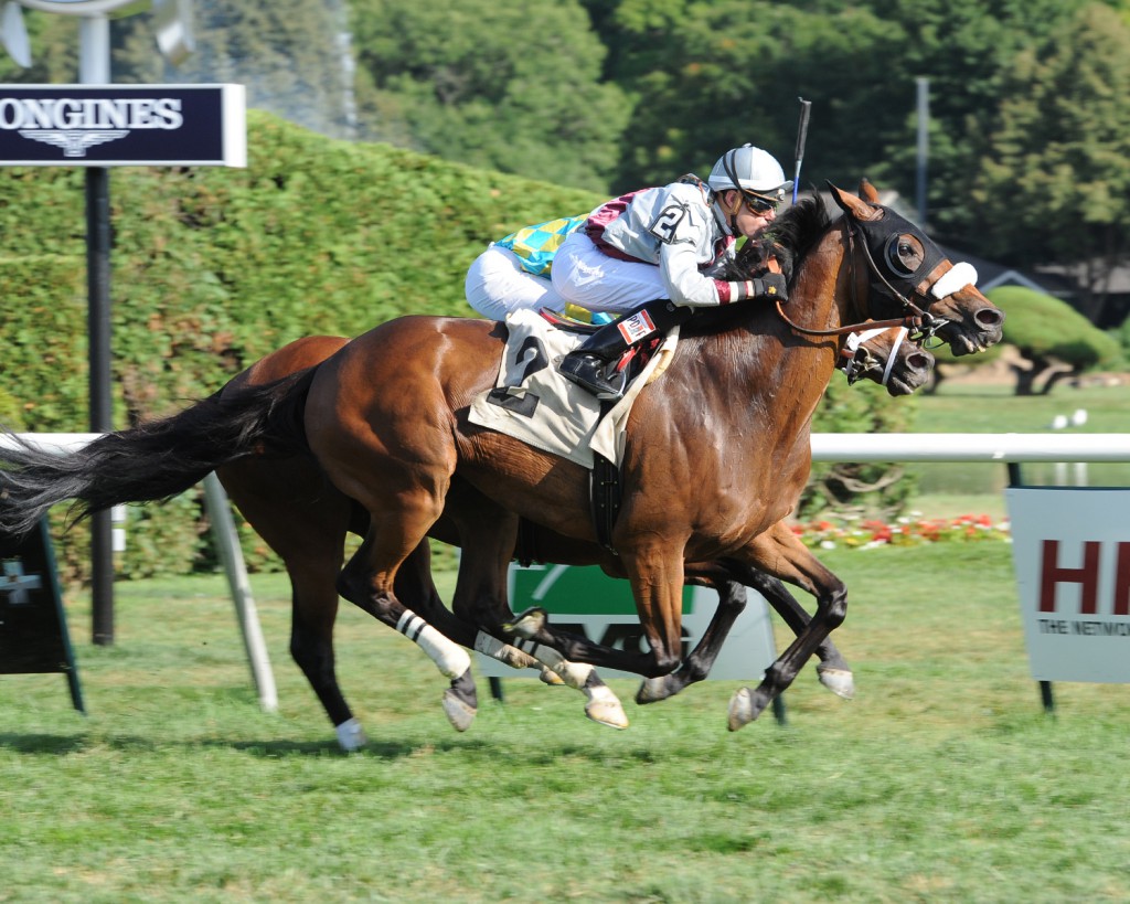 Homebred St. Albans Boy won an allowance at Saratoga for Anne Poulson. Photo courtesy Adam Coglianese.
