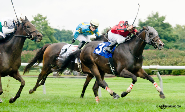 Complete St. winning The George Rosenberger Memorial stakes on Owners Day at Delaware Park on September 13. Photo courtesy Hoofprints Inc.