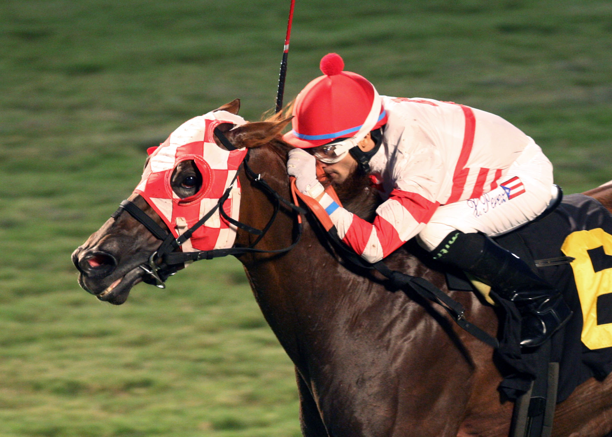 Lion Down By Me, winning the Oakley Stakes at Colonial Downs in 2013. Photo Courtesy Coady Photography.