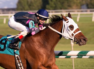 Rose Brier is shown here winning the 2014 Bert Allen Stakes. Photo by Jim McCue. 