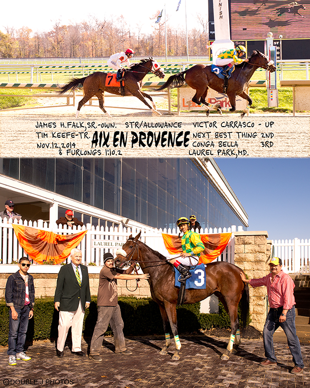 Aix En Provence, bred by James Falk, is shown in the winners circle at Laurel in 2014. The 9 year old got her 10th win February 3rd at Laurel. Photo by Jim McCue.