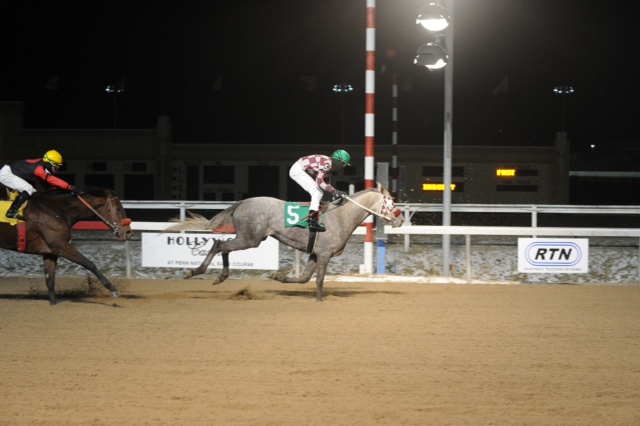 Firestone-bred Dream Voyage won by a 1/2 lengths at Penn National on Jan. 8. Photo courtesy of BND Photography. 