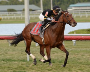 Long On Value winning the Canadian Turf at Gulfstream. Photo courtesy Adam Coglianese. 