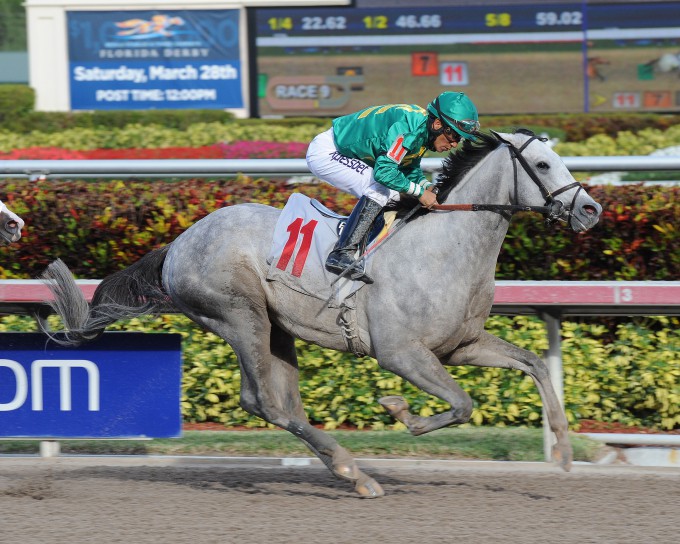 Bill Backer Rare Art won first out in a MSW at Gulfstream on Feb. 7. 