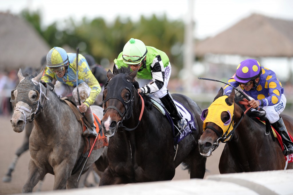 Ned Evans-bred Valid (Medaglia door) winning the Grade III Fred Hooper Stakes on February 7. Photo courtesy Adam Coglianese.