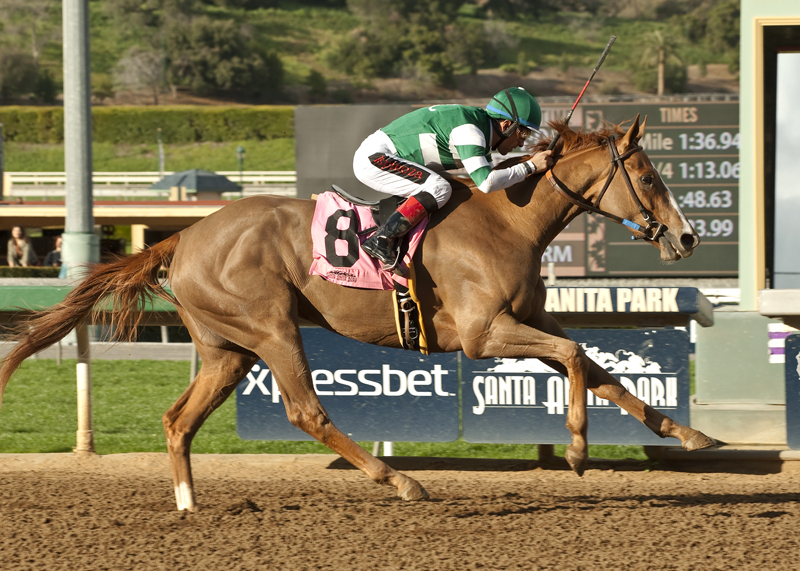 Stellar Wind won the Grade III, $100,000 Santa Ysabel Stakes February 28 at Santa Anita Park