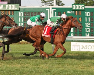 Middleburg is one of two Virginia-breds nominated to the Cup