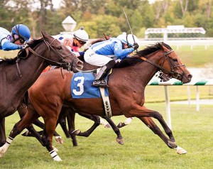 Away We Go scores in the 2015 Jamestown Stakes at Laurel for trainer Rodney Jenkins