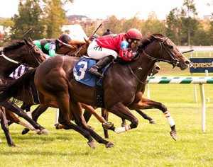 Complete St. wins the 2015 Brookemeade Stakes with all time Virginia leading rider Horacio Karamanos up