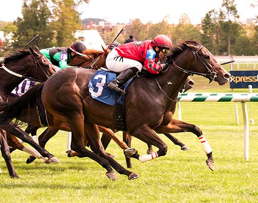 Complete St. wins the 2015 Brookemeade Stakes with all time Virginia leading rider Horacio Karamanos up. Photo by Jim McCue.