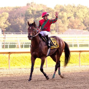 Bred by Albert Coppola, One Go All Go returns to the winners circle at Laurel September 19th after winning the 2015 Grade II, Commonwealth Derby. Jockey Ron Higsby directed the effort. Photo by Jim McCue.