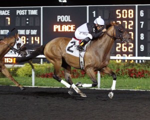 What a Wildcat, bred by Larry Johnson, came from 2nd last to win by 1 3/4 lengths on Labor Day at Presque Isle Downs.