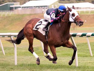 Rose Brier captures the 2015 Bert Allen Stakes at Laurel. Photo by Jim McCue