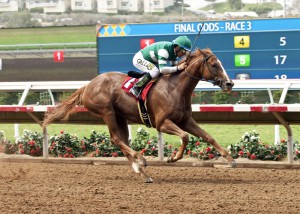 Hronis Racing's Stellar Wind jockey Victor Espinoza win the Grade III, $100,000 Torrey Pines Stakes, Sunday, August 30, 2015 at Del Mar Thoroughbred Club, Del Mar CA. © BENOIT PHOTO