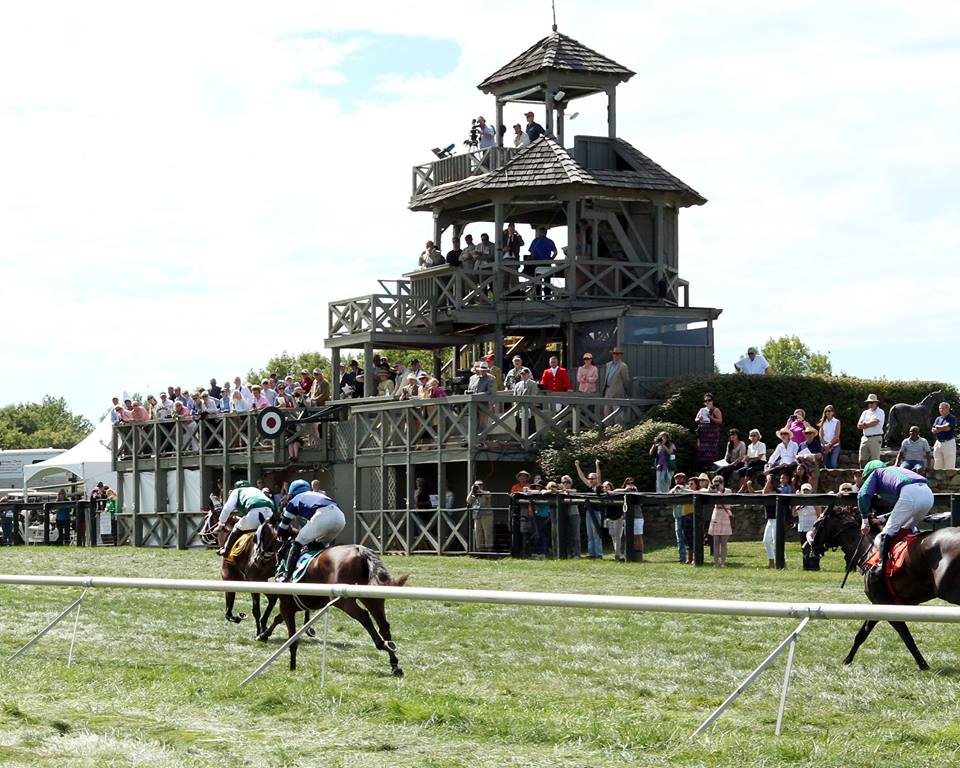 Horses race for the wire at Great Meadow. The 2016 International Gold Cup is slated for October 22.
