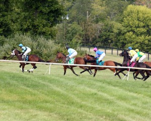 Horses race alongside an inner rail that was set up at Great Meadow for the inaugural Virginia Downs event.