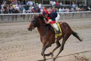 tonalist4-credit-chelsea-durand-1024x681