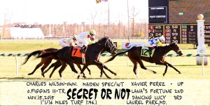Secret Or Not, bred by Charles Wilson, wins a maiden special weight race at Laurel on November 15, 2015 