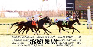 Secret Or Not, bred by Charles Wilson, wins a maiden special weight race at Laurel on November 15, 2015