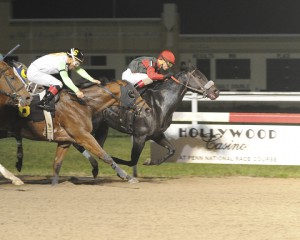 True Cost, bred by Anne Tucker, won November 5th at Penn National after being sent off at 34-1