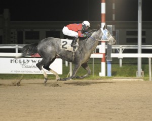 Anybodyreallyknow, bred by Larry Johnson, scores at Penn National November 21, 2015 in a six furlong sprint for trainer Scott Lake