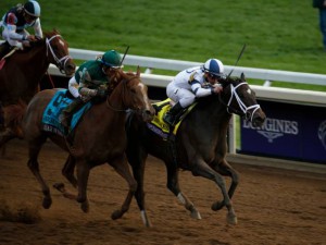 Stellar Wind (outside) duels with Stopchargingmaria in the 2015 Breeders' Cup Distaff. The Virginia-bred was a neck shy at the wire.