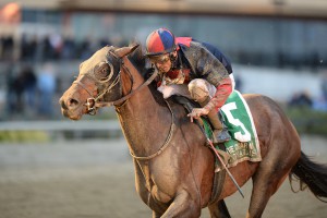 Tonalist earns his 4th Grade I stakes victory November 28th at Aqueduct in the Cigar Mile. Photo courtesy of Adam Mooshian