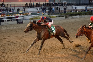 By winning the '15 Cigar Mile, Tonalist raised his career bankroll to $3,647,000. Photo by Chelsea Durand 