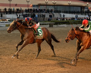 Tonalist holds off fast closing Red Vine in the 2015 Cigar Mile at Aqueduct. Photo by Joe Labozzetta.